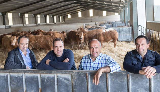 Los hermanos y socios del Grupo Barberena, de izquierda a derecha: Fran, Yosu, Miguel Ángel y José Ignacio Barberena Olagüe, en su granja de Villafranca.
