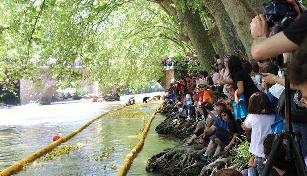Una carrera de patitos de goma por el río Arga