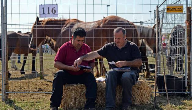 Feria de ganado equino de San Fermín 2018 en Agustinos
