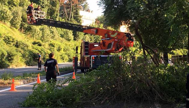 Un árbol caído obliga a cerrar al tráfico la cuesta de Beloso
