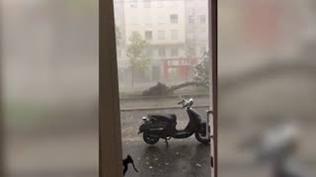 Una tormenta torrencial siembra el caos en Zaragoza