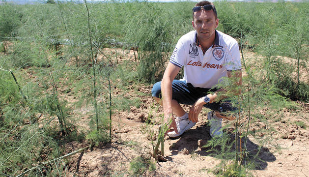 Fotos de los daños ocasionados por las tormentas en Tierra Estella