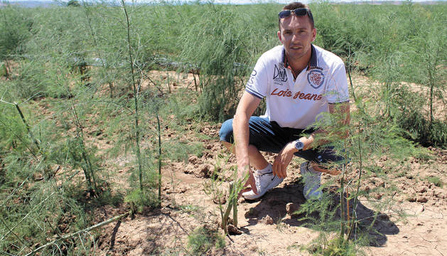 Máximo López, alcalde de Lazagurría, muestra una de las esparragueras afectadas por la tormenta.