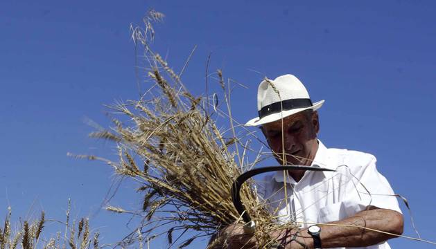 Fotos del Día del Mundo Rural en Miranda de Arga