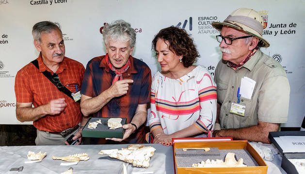 Hallan en Atapuerca restos de una homínida adolescente de más de 300.000 años