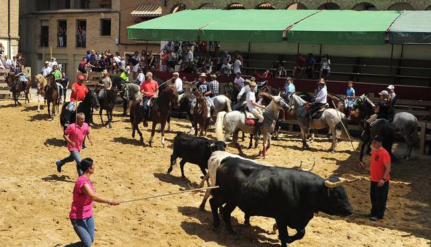 Los asistentes disfrutaron de una jornada donde la degustación de cordero, la trashumancia o el concurso de recortadores fueron los protagonistas