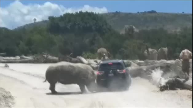 Susto en un safari de México