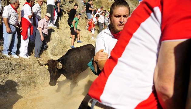 Segundo encierro del Pilón de Falces
