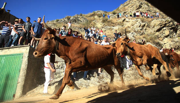 Imágenes del cuarto encierro del Pilón de fiestas de Falces 2018, 15 de agosto