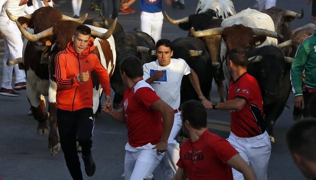 Fotos del tercer día de las fiestas de Tafalla y segundo encierro (16 de agosto de 2018)