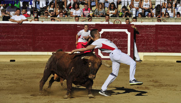 Aritz López recorta al toro Cordobés de Macua en la tanda clasificatoria. Este recorte le hizo pasar a la final.