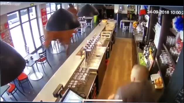 Un caballo se pasea por la barra de un bar en Francia