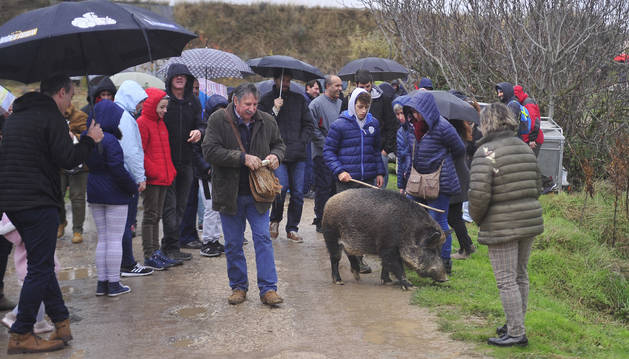 La lluvia fue protagonista este domingo en Navarra y marcó actos como la Feria de la trufa en Orísoain, en la imagen.