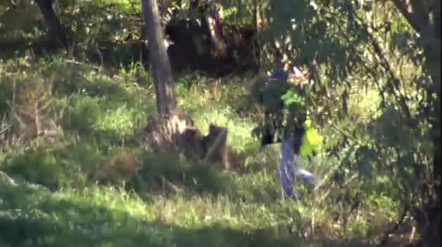 Se busca a una joven desaparecida en El Campillo