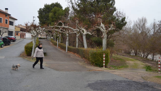 Una mujer pasea con su perro junto a una de las tres bajadas al Bosquecillo de Andosilla.
