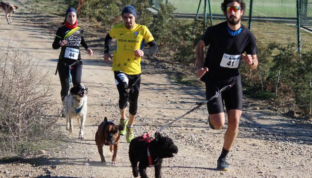 Tres corredores con sus perros en el primer Canicross Villa de Azagra que se disputó el domingo