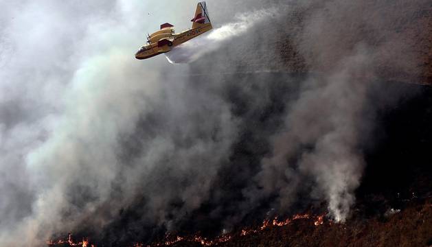 Imágenes del incendio de Goizueta