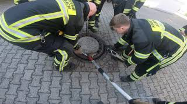 Siete bomberos para rescatar a una rata gorda atrapada en la tapa de una alcantarilla