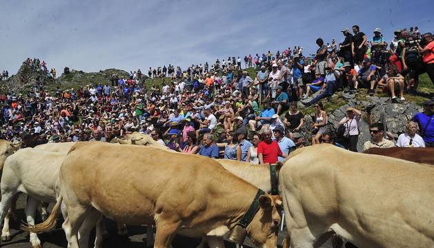 Ceremonia del tributo de las tres vacas