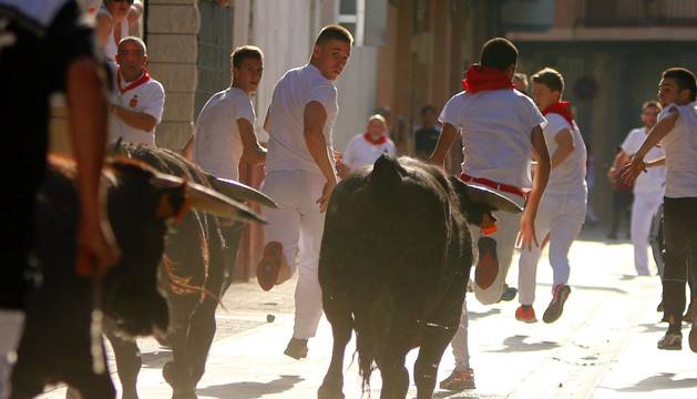 Segundo día de fiestas de San Adrián 2019