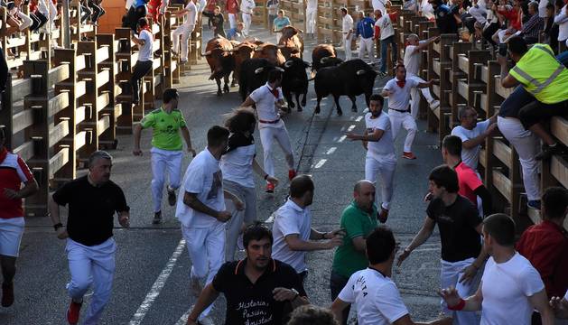 Cuarto encierro del 28 de julio de fiestas de Tudela 2019
