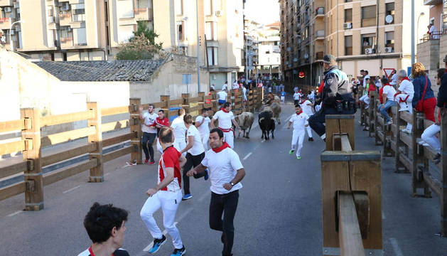 Foto de las reses de la ganadería portuguesa Manuel Pereira Lupi, mientras avanzan por el recorrido en el quinto encierro de fiestas de Tudela 2019.