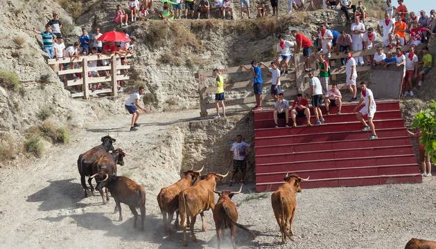 Fotos del encierro del Estrecho de Arguedas 2019
