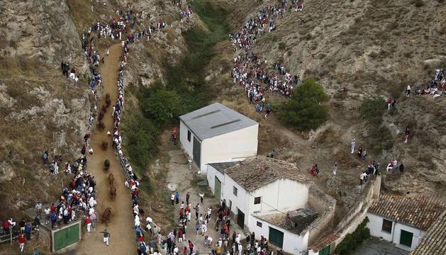 Fotos del primer encierro del Pilón de Falces 2019