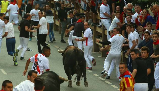 Fiestas de tafalla. 15 de agosto 2019.