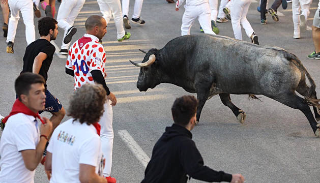Foto de uno de los toros de la ganadería El Saltillo durante el tercer encierro de las fiestas de Tafalla.
