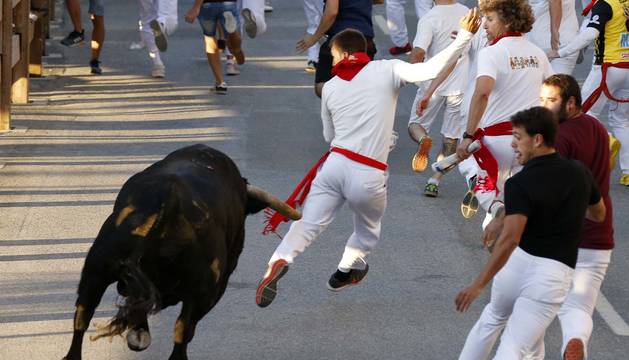 Fotos de fiestas de Tafalla. 18 de agosto
