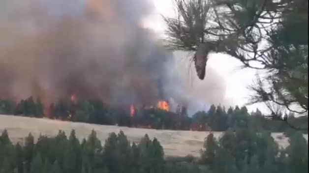 La isla de Gran Canaria vuelve a luchar contra el fuego