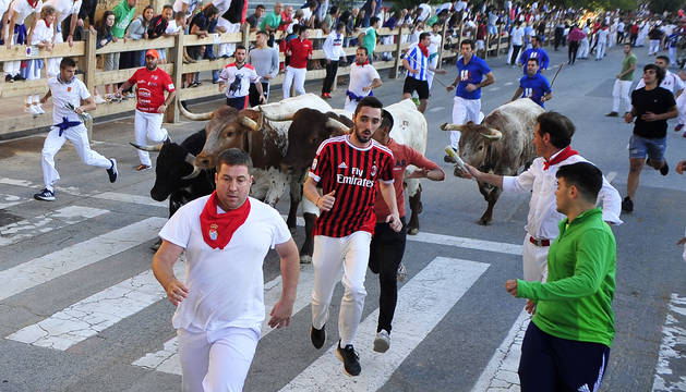 Los mozos corren ante los astados durante el cuarto encierro de las fiestas de Tafalla.