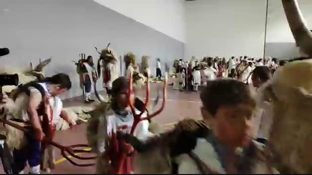 Vídeo del ritual de sangre de los momotxorros en Alsasua