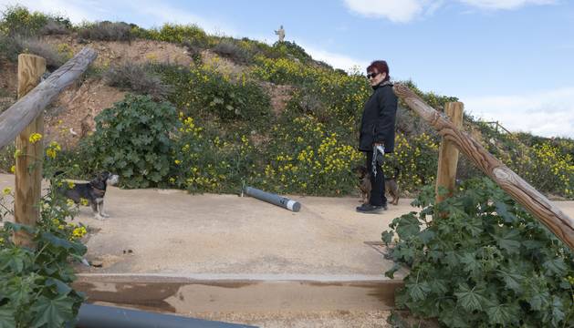 Una mujer pasea con sus perros por el camino del cerro de Santa Bárbara entre dos de las luminarias rotas.