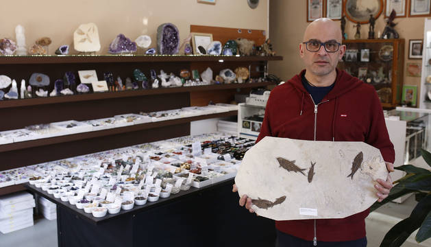 Foto de David Martínez sujeta un fósil de 50 millones de años con varias especies de Knightia, un pez ya extinguido, impresas.