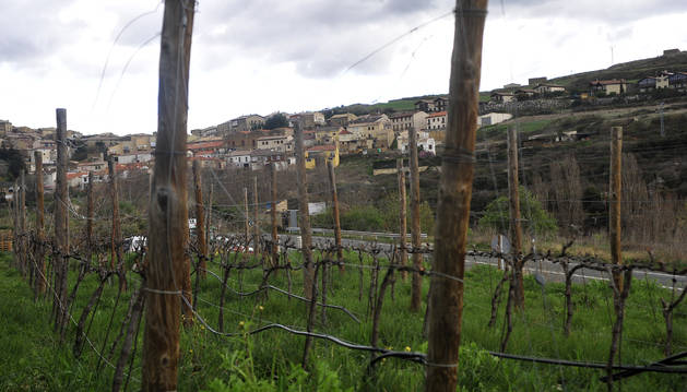 Foto del Eco Pueblo busca frenar la despoblación y paliar la falta de relevo generacional en San Martín de Unx.
