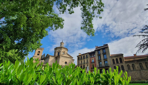 Fotos de la primavera de los lectores 2020