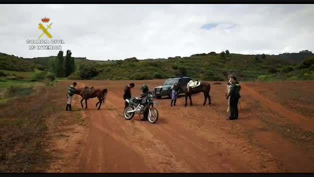 Vídeo: La Guardia Civil denuncia a tres personas en Navarra por huir a caballo