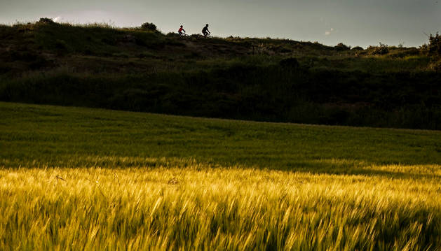 Foto de un padre y un hijo paseando en bicicleta este fin de semana en Ayegui.
