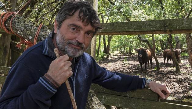 Miguel Reta Azcona, con una vara -aunque esta de ganadero- en su finca de Grocin donde se dedica a la crianza de toros de casta navarra.