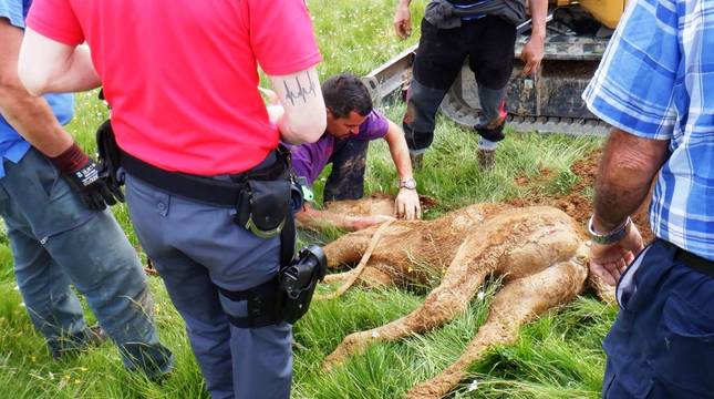 Fotos del rescate de un potro atrapado en una sima en Isaba