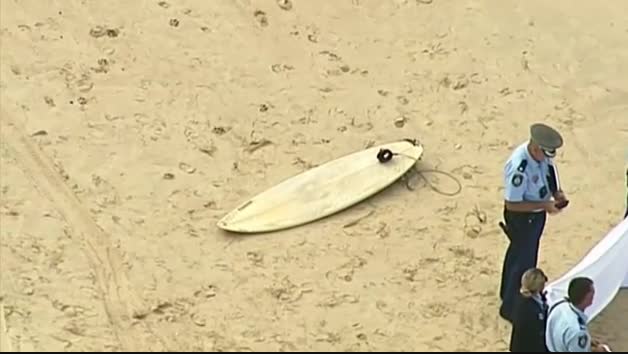 Muere un surfista australiano de 60 años por el ataque de un tiburón en Nueva Gales del Sur