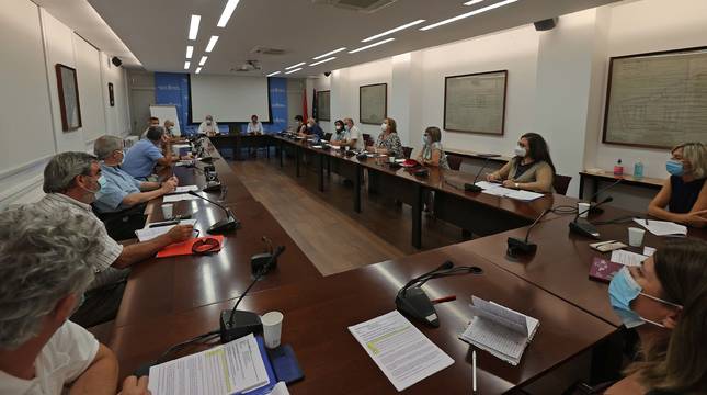 Los asistentes al Consejo Navarro de Salud escuchan a la consejera Santos Induráin, sentada al fondo, junto a Carlos Artundo.