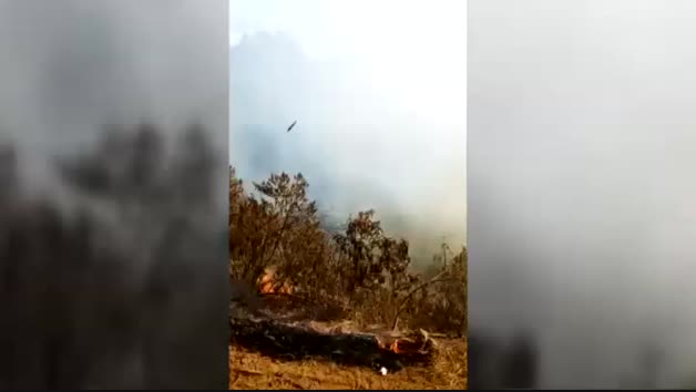 Estabilizado el incendio que afecta a la isla de La Palma