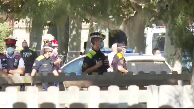 Un fallecido en Barcelona tras el desplome de una palmera