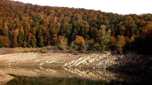 foto de Fotografía de la Selva de Irati, lugar por donde discurre el sendero Los Paraísos, en otoño.