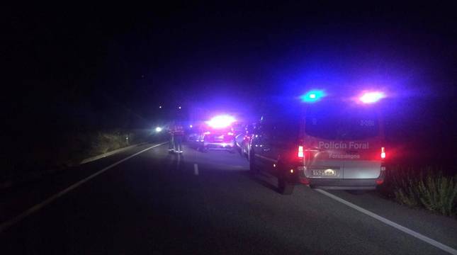 Agentes de la Policía Foral y bomberos del parque de Tafalla se desplazaron al lugar del accidente.