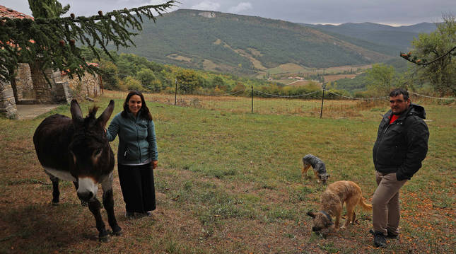 Marimar Agós con 'Palomo' y Roberto Urrutia junto a dos de sus cuatro perros pastores en el caserío de Zaldaiz. Al fondo, Urricelqui.
