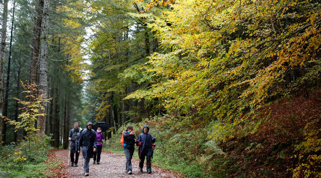 Un grupo de visitantes camina a través de una senda de la Selva de Irati en el otoño de 2019.